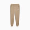 Изображение Puma Штаны Essentials+ 2 Col Logo Men's Pants #6: Oak Branch