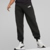 Изображение Puma Штаны Essentials+ Two-Tone Logo Men's Pants #1: Puma Black-Puma White