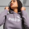 Изображение Puma Толстовка Essentials Logo FL Women's Hoodie #2: Pale Plum