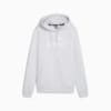 Изображение Puma Толстовка Essentials Logo FL Women's Hoodie #1: Silver Mist