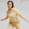 Изображение Puma Толстовка Essentials Logo FL Women's Hoodie #1: Sand Dune