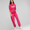 Image PUMA Moletom com Capuz Essentials Logo Fleece Feminino #5