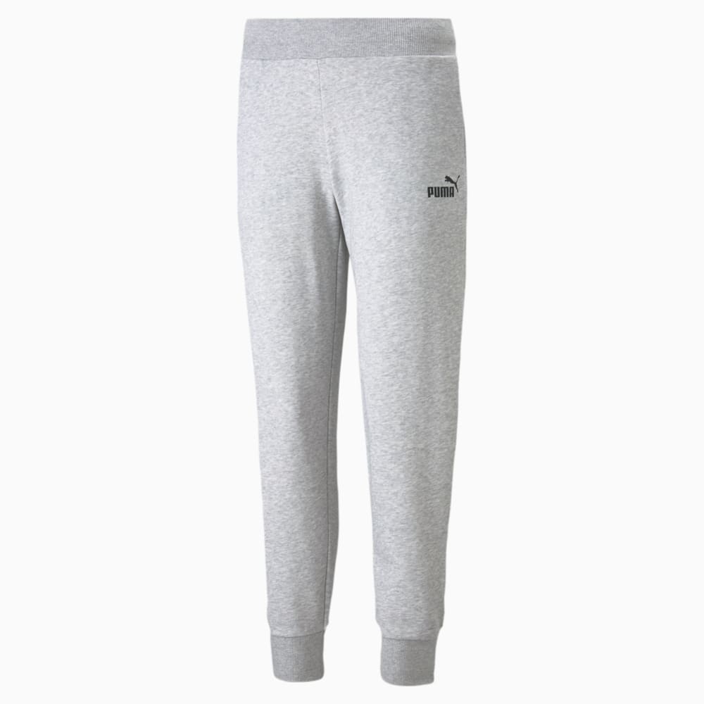 Изображение Puma Штаны Essentials Women's Sweatpants #1: light gray heather