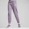 Изображение Puma Штаны ESS Sweatpants #1: Pale Plum