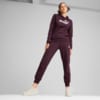 Зображення Puma Штани ESS Sweatpants #3: Midnight Plum