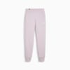 Изображение Puma Штаны Essentials Women’s Sweatpants #1: Grape Mist