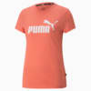 Image PUMA Camiseta Essentials Logo Heather Feminina #6