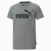 Изображение Puma Детская футболка Essentials Logo Youth Tee #1: Medium Gray Heather