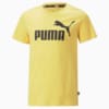 Изображение Puma Детская футболка Essentials Logo Youth Tee #5: Mustard Seed