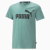 Изображение Puma Детская футболка Essentials Logo Youth Tee #5: Adriatic