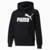 Image PUMA Moletom com Capuz Essentials Big Logo Fleece Juvenil #1