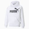 Image PUMA Moletom com Capuz Essentials Big Logo Fleece Juvenil #0