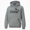 Image PUMA Moletom com Capuz Essentials Big Logo Fleece Juvenil #1