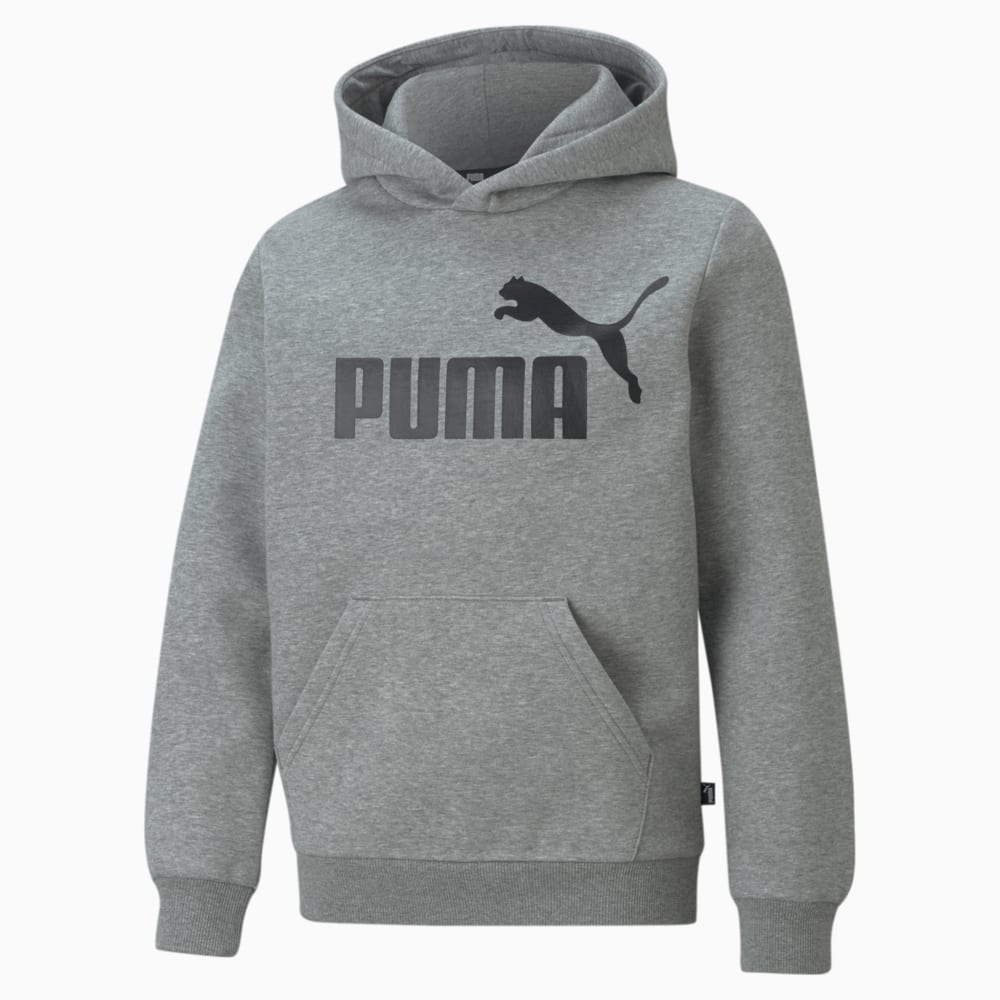 Imagen PUMA Polerón juvenil con capucha y logotipo grande Essentials #1