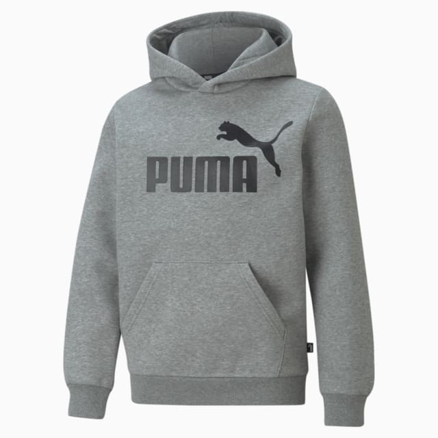 Imagen PUMA Polerón juvenil con capucha y logotipo grande Essentials