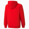 Image PUMA Moletom com Capuz Essentials Big Logo Fleece Juvenil #2