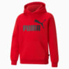 Image PUMA Moletom com Capuz Essentials Big Logo Fleece Juvenil #1