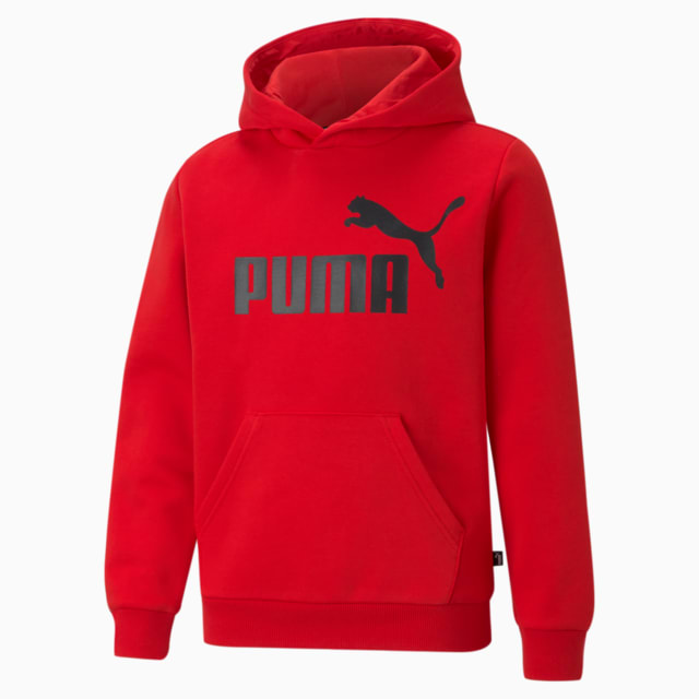 Image PUMA Moletom com Capuz Essentials Big Logo Fleece Juvenil