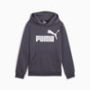 Зображення Puma Дитяча толстовка Essentials Big Logo Youth Hoodie #4: Galactic Gray