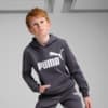 Зображення Puma Дитяча толстовка Essentials Big Logo Youth Hoodie #1: Galactic Gray