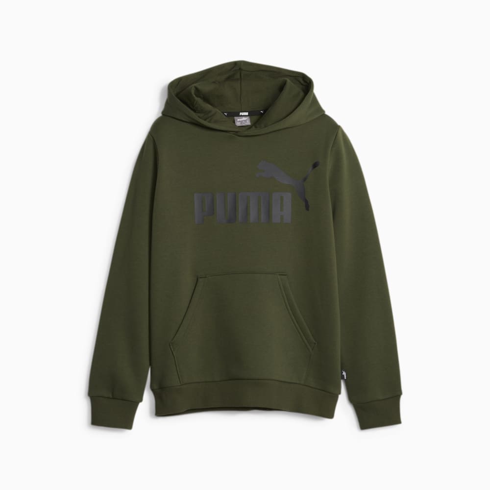 Зображення Puma Дитяча толстовка Essentials Big Logo Youth Hoodie #1: Myrtle