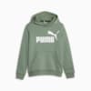 Imagen PUMA Polerón juvenil con capucha y logotipo grande Essentials #4