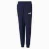 Image PUMA Calça Essentials Logo Fleece Juvenil #1