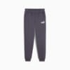 Зображення Puma Дитячі штани Essentials Logo Youth Pants #4: Galactic Gray