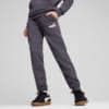 Зображення Puma Дитячі штани Essentials Logo Youth Pants #1: Galactic Gray