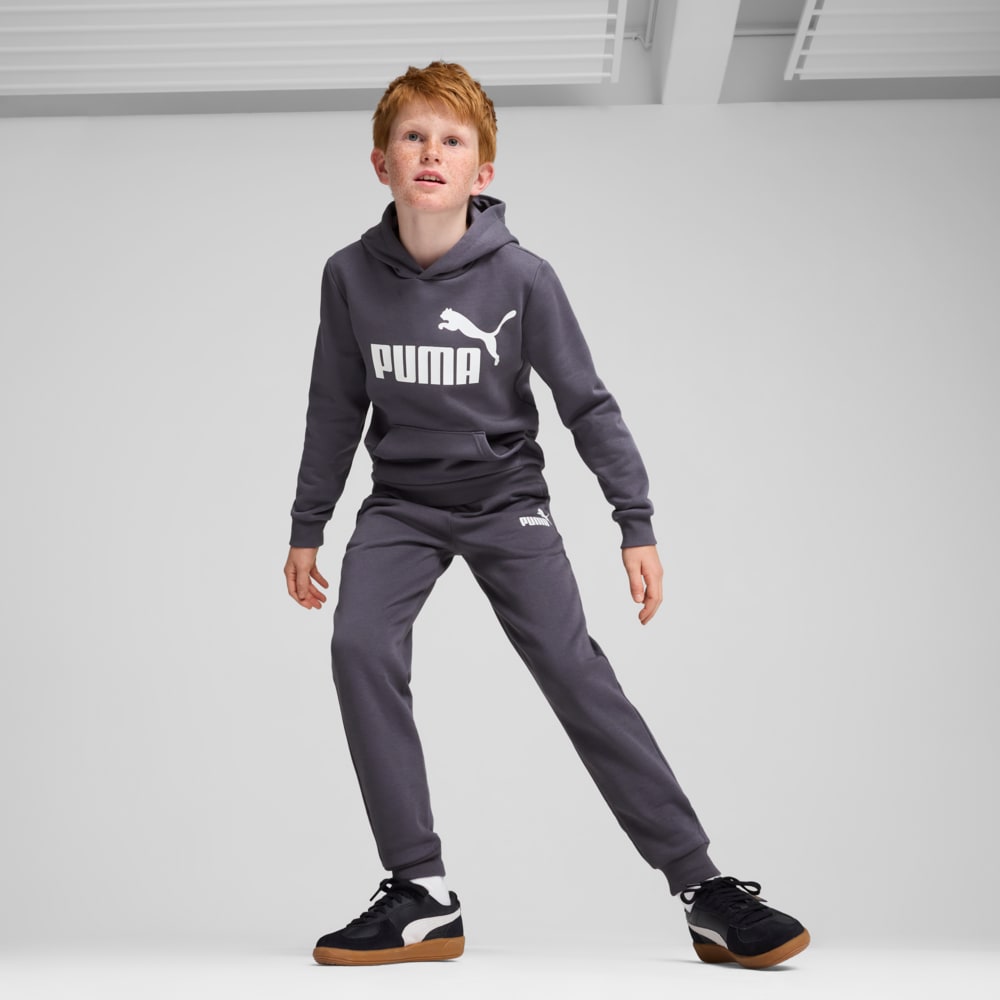 Зображення Puma Дитячі штани Essentials Logo Youth Pants #2: Galactic Gray