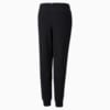 Изображение Puma Детские штаны Essentials Logo Youth Sweatpants #2: Puma Black