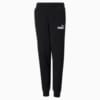 Изображение Puma Детские штаны Essentials Logo Youth Sweatpants #1: Puma Black