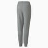 Зображення Puma Дитячі штани Essentials Logo Youth Sweatpants #2: Medium Gray Heather