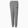 Зображення Puma Дитячі штани Essentials Logo Youth Sweatpants #1: Medium Gray Heather