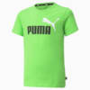 Изображение Puma Детская футболка Essentials+ Two-Tone Logo Youth Tee #1: green flash