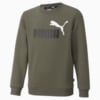 Зображення Puma Дитяча толстовка Essentials+ Two-Tone Big Logo Crew Neck Youth Sweater #1: Grape Leaf