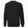 Зображення Puma Дитяча толстовка Essentials+ Two-Tone Big Logo Crew Neck Youth Sweater #2: Puma Black-Green Flash