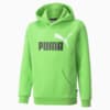 Изображение Puma Детская толстовка Essentials+ Two-Tone Big Logo Youth Hoodie #1: green flash