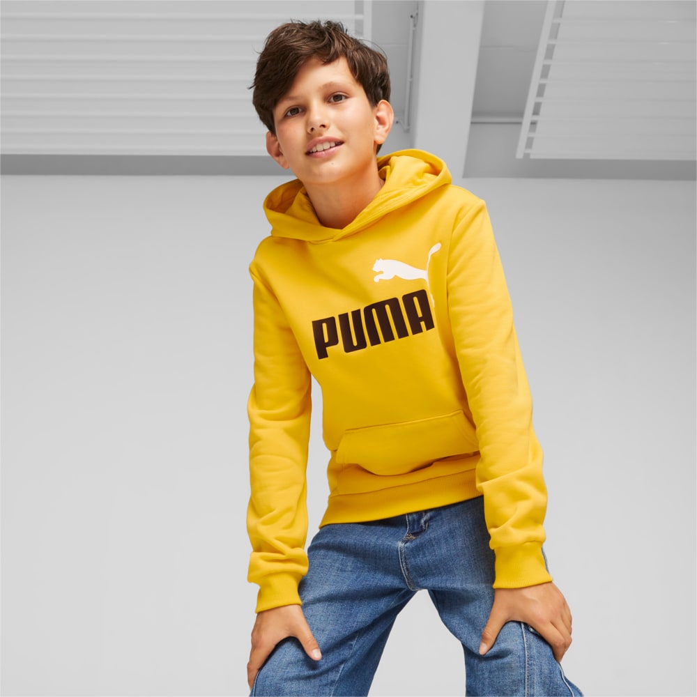 Image PUMA Moletom Essentials+ Two-Tone Big Logo Juvenil #1