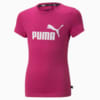 Изображение Puma Детская футболка Essentials Logo Youth Tee #5: Festival Fuchsia