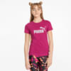 Изображение Puma Детская футболка Essentials Logo Youth Tee #1: Festival Fuchsia