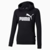 Image PUMA Moletom com Capuz Essentials Logo Juvenil #1