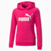 Изображение Puma Детская толстовка Essentials Logo Youth Hoodie #5: Orchid Shadow