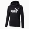 Image PUMA Moletom com Capuz Essentials Logo Fleece Juvenil #1