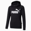 Изображение Puma Детское худи Essentials Logo Youth Hoodie #1: Puma Black
