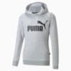Imagen PUMA Polerón con capucha y logotipo juvenil Essentials #1
