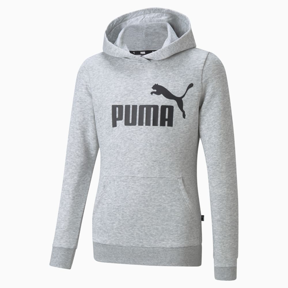 Imagen PUMA Polerón con capucha y logotipo juvenil Essentials #1