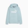 Image PUMA Moletom com Capuz Essentials Logo Fleece Juvenil #4