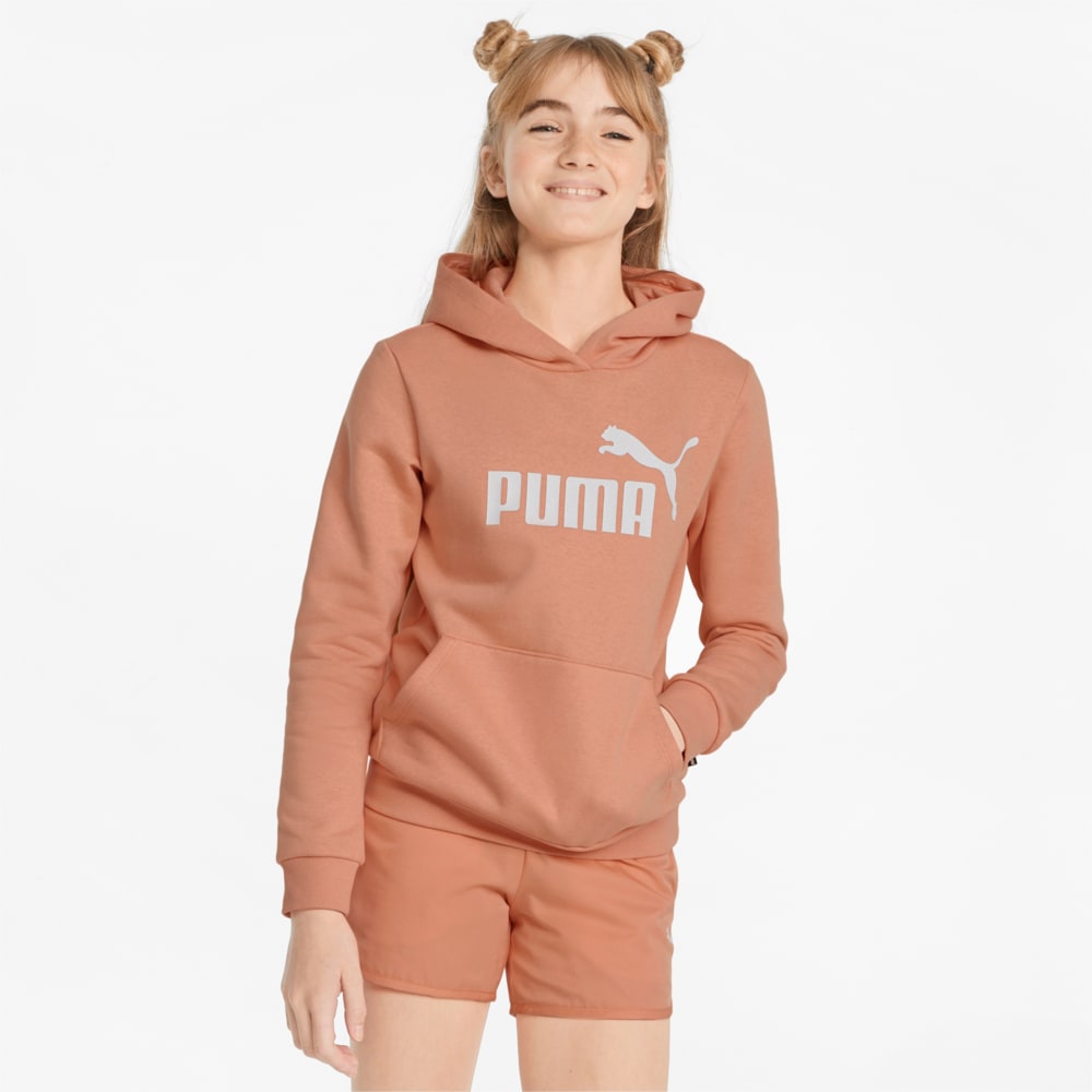 Изображение Puma Детское худи Essentials Logo Youth Hoodie #1: Peach Pink