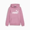 Imagen PUMA Polerón con capucha y logotipo juvenil Essentials #4